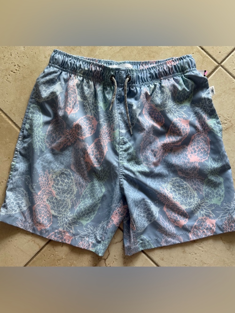 Vintage Summer Preppy Pineapple Print Swim Trunks in Light Blue and Pastel